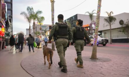 Implementa SSPCM Operativo ˈDiciembre Seguroˈ para fortalecer la protección y tranquilidad de la ciudadanía