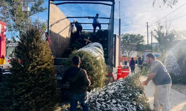 Recaba Gobierno Municipal de Tijuana más de 2 mil árboles como parte de la campaña de reciclaje