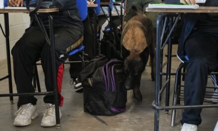 Implementa SSPCM programa ´Inspección de Pertenencias´ en secundaria de la colonia Altiplano