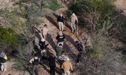 MANTIENE COMISIÓN DE BÚSQUEDA OPERATIVO PERMANENTE EN COLONIA MIGUEL ALEMÁN