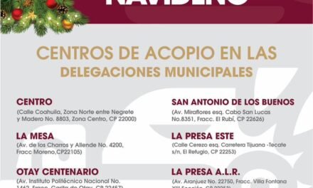 Últimos días de la campaña «Recicla tu Árbol Navideño 2026»
