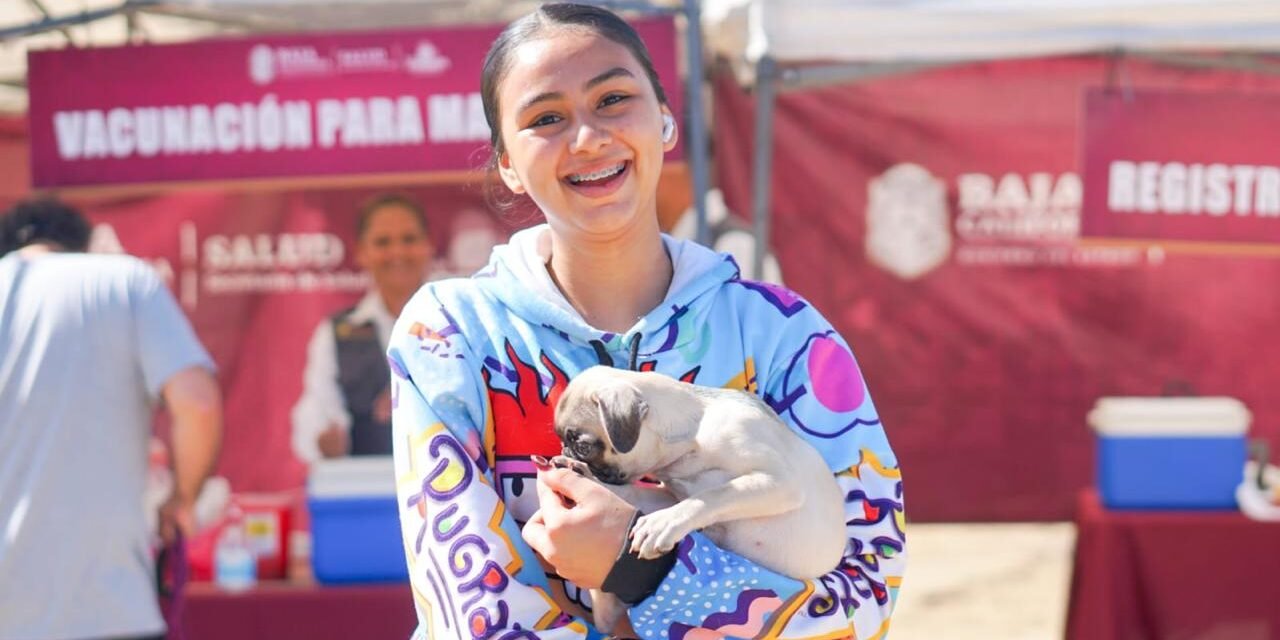 DESTACAN ACCIONES A FAVOR DE LAS MASCOTAS CON PROGRAMAS GRATUITOS DE SALUD