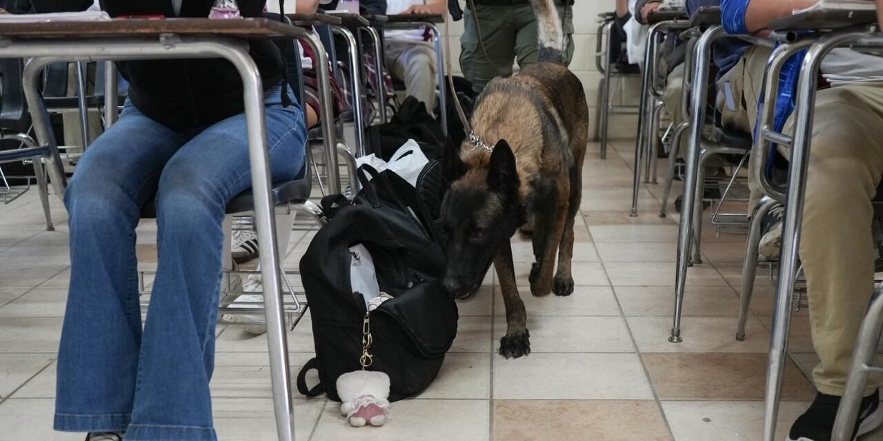 Realiza SSPCM jornada preventiva “Revisión de Pertenencias” en preparatoria