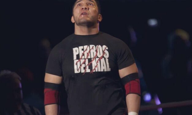 Realizan homenaje a 11 años de la muerte de El Hijo del Perro Aguayo