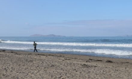 LLAMA SMADS A DISFRUTAR UNA SEMANA SANTA RESPONSABLE Y SIN IMPACTO AMBIENTAL