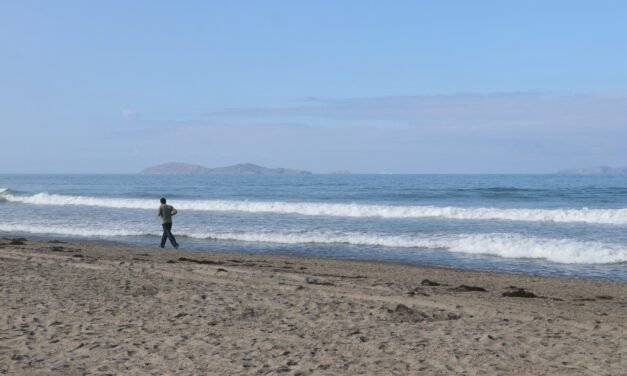 LLAMA SMADS A DISFRUTAR UNA SEMANA SANTA RESPONSABLE Y SIN IMPACTO AMBIENTAL