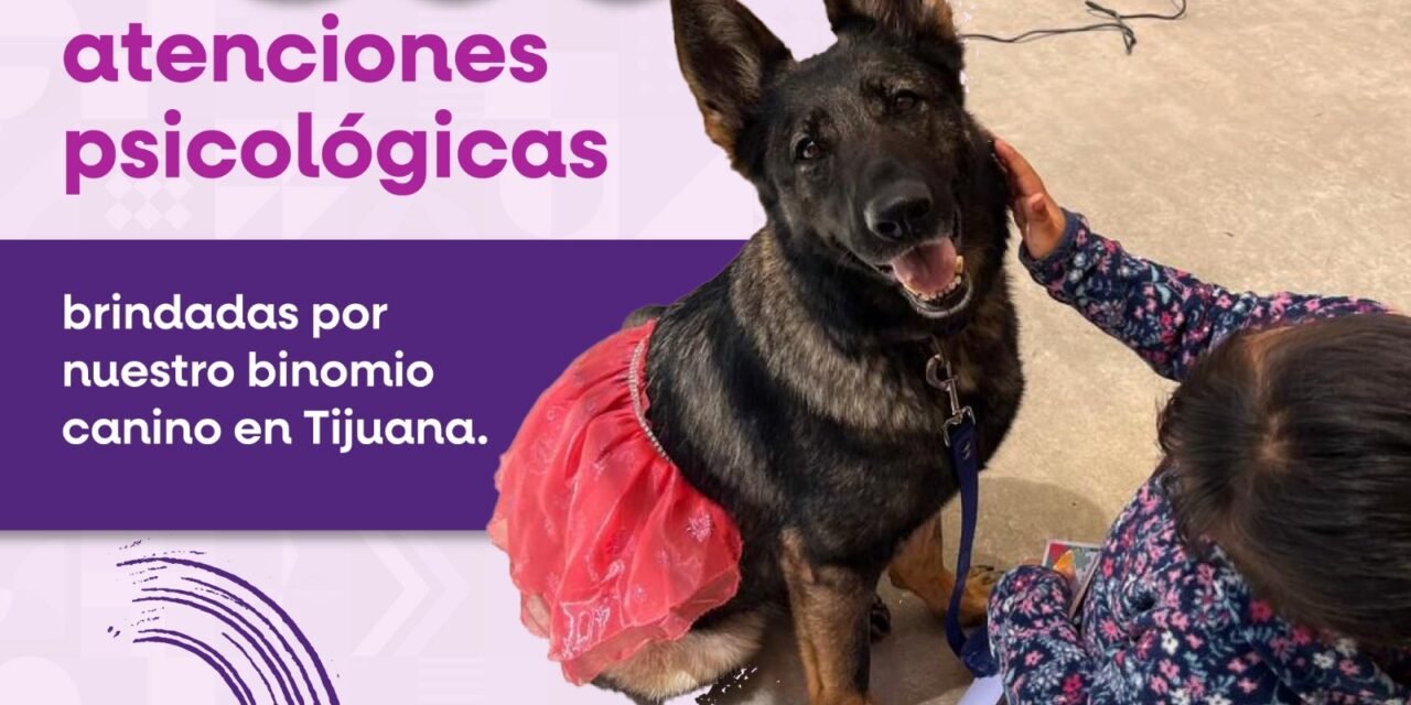BRINDA BINOMIO CANINO MÁS DE 800 ATENCIONES DE ACOMPAÑAMIENTO PSICÓLOGO EN CEJUM