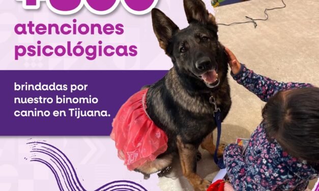 BRINDA BINOMIO CANINO MÁS DE 800 ATENCIONES DE ACOMPAÑAMIENTO PSICÓLOGO EN CEJUM