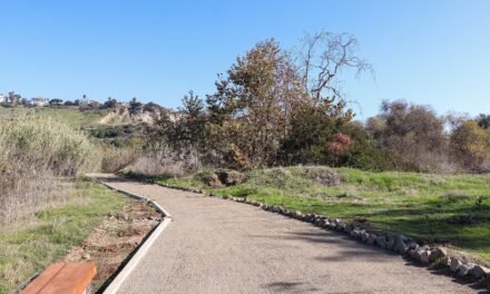LLAMA SMADS A DISFRUTAR UNA SEMANA SANTA RESPONSABLE Y SIN IMPACTO AMBIENTAL