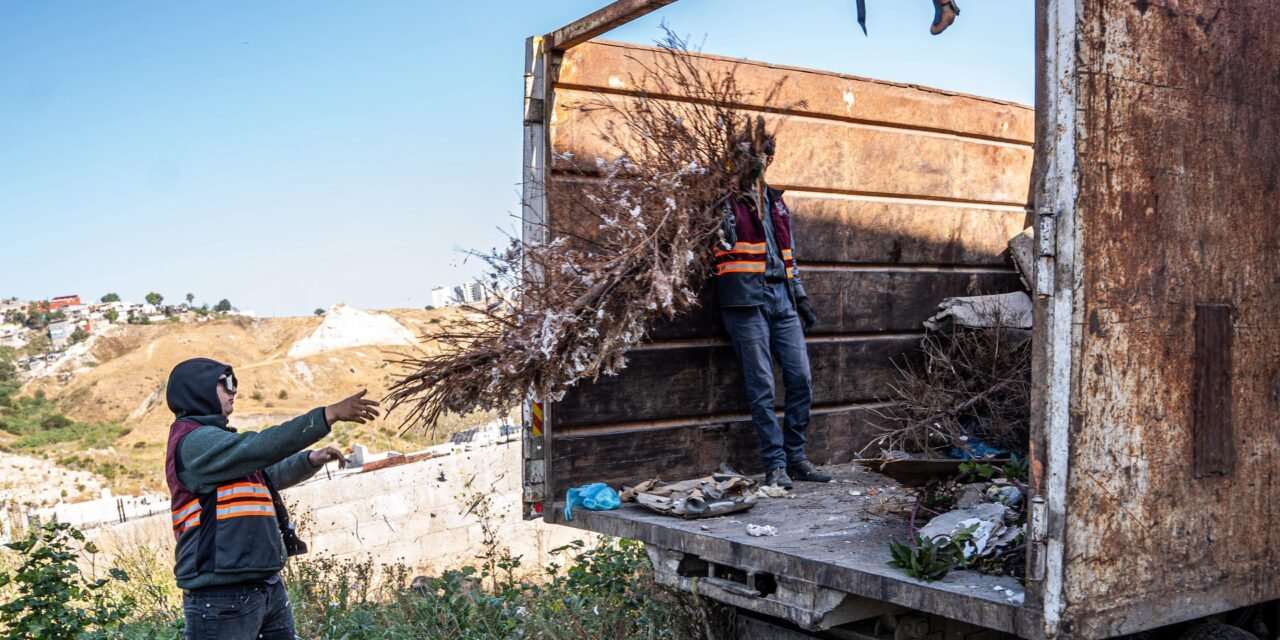 Recolecta Gobierno Municipal 37 toneladas de basura con acciones del programa ‘Tijuana: Ciudad Limpia’