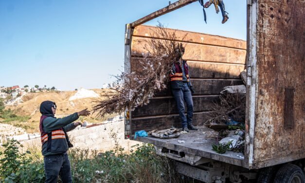Recolecta Gobierno Municipal 37 toneladas de basura con acciones del programa ‘Tijuana: Ciudad Limpia’