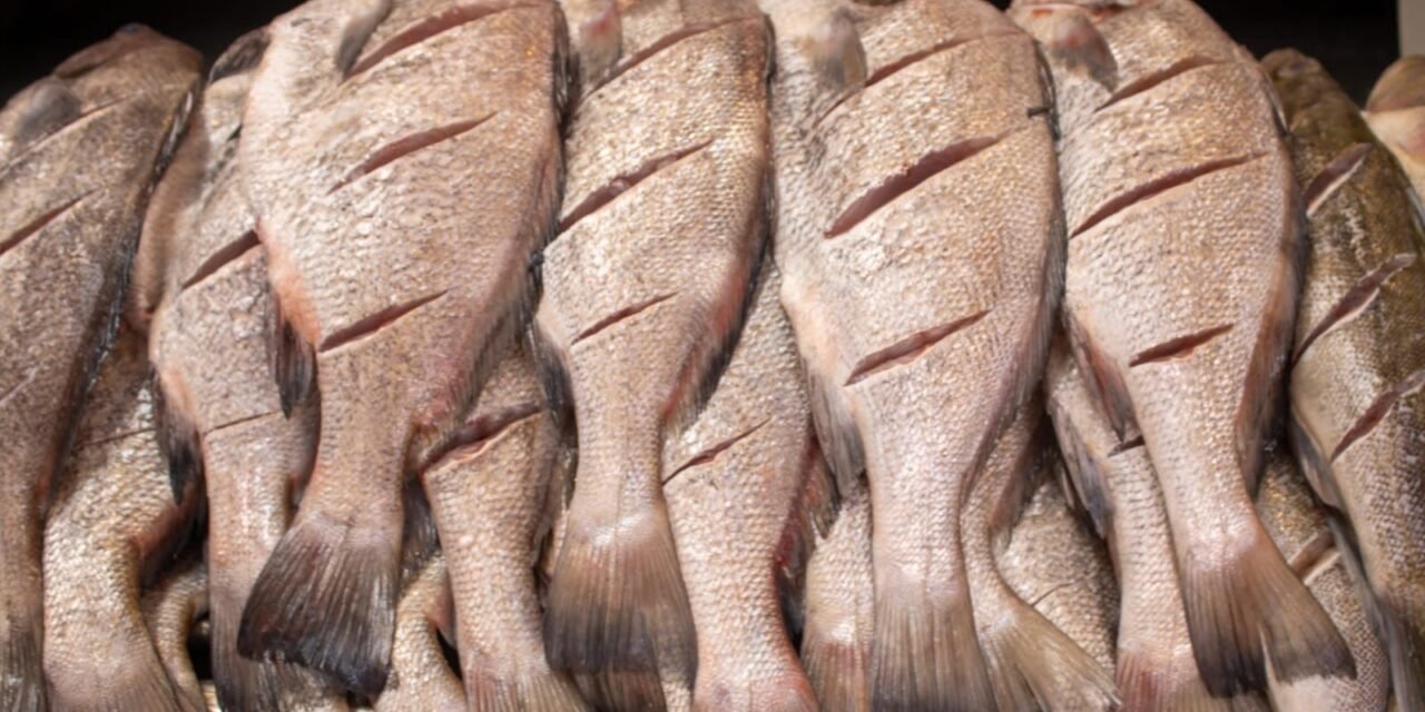 EMITEN RECOMENDACIONES DE SALUD PARA EL CONSUMO SEGURO DE PESCADOS Y MARISCOS EN SEMANA SANTA