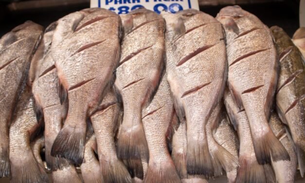 EMITEN RECOMENDACIONES DE SALUD PARA EL CONSUMO SEGURO DE PESCADOS Y MARISCOS EN SEMANA SANTA