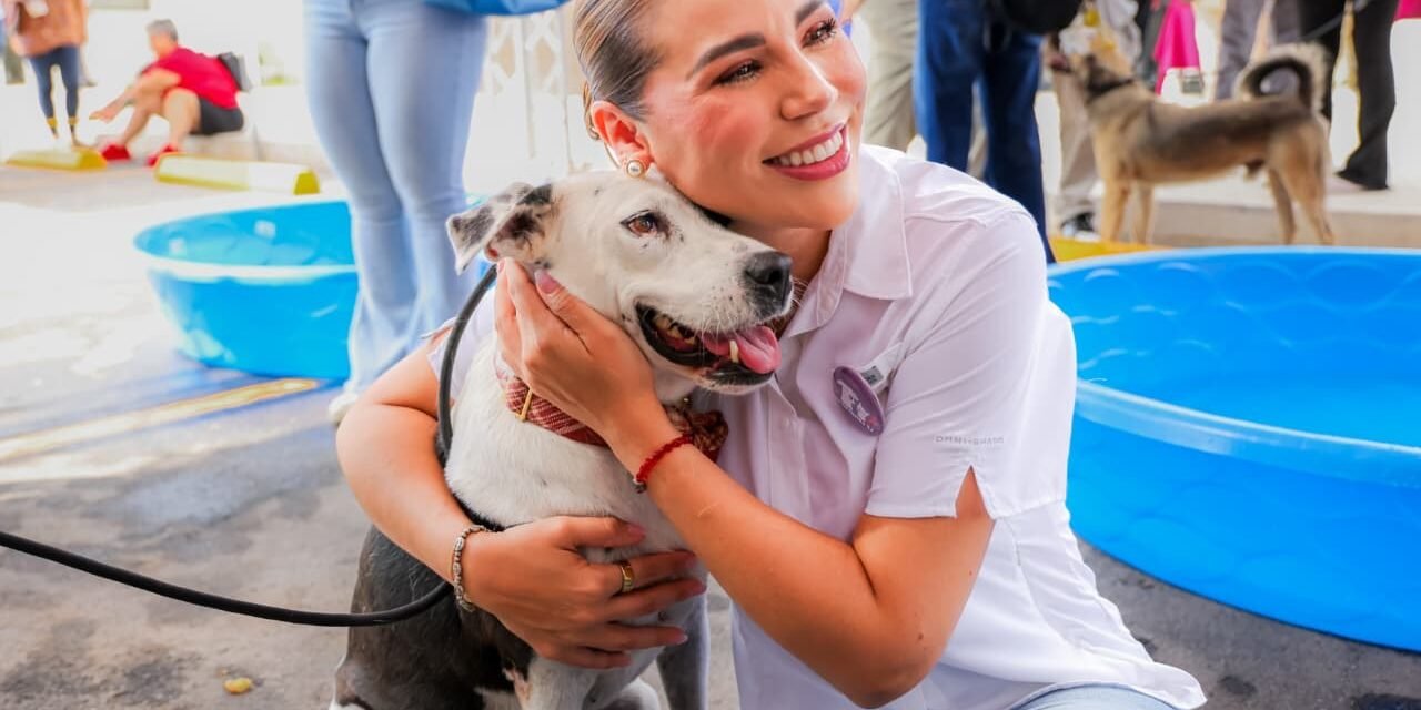 SE CONSOLIDA BAJA CALIFORNIA COMO REFERENTE NACIONAL EN PROTECCIÓN Y BIENESTAR ANIMAL