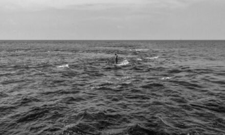 Fotógrafo mexicano  triunfa en World Press Photo 2026