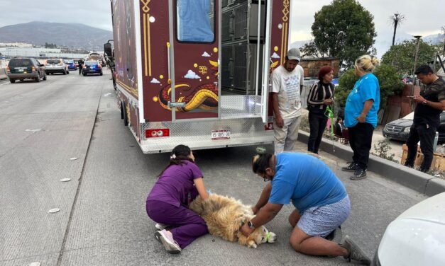 Atiende Gobierno de Tijuana de manera oportuna incendio en el Cañón del Padre