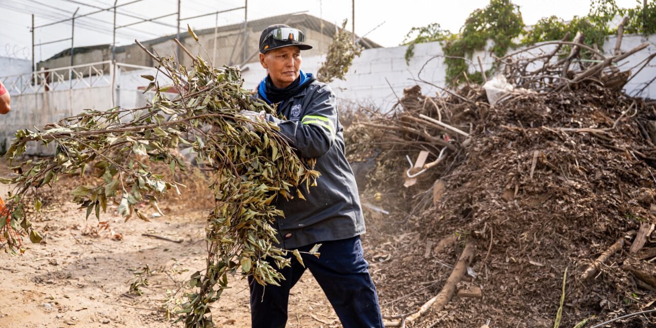 Retira Gobierno Municipal más de 55 toneladas de basura de colonias de las delegaciones Otay Centenario, La Mesa y Sánchez Taboada’