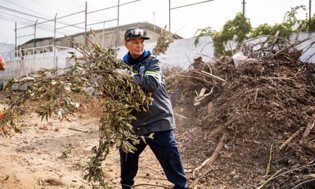 Retira Gobierno Municipal más de 55 toneladas de basura de colonias de las delegaciones Otay Centenario, La Mesa y Sánchez Taboada’