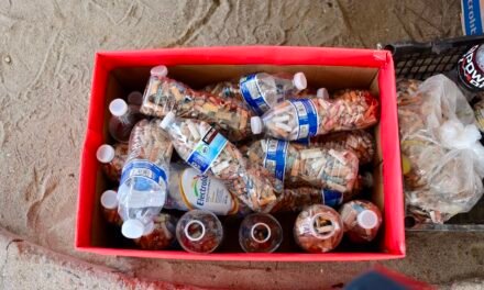 SE RETIRAN 22 mil COLILLAS DE CIGARRO DE PLAYA CONALEP