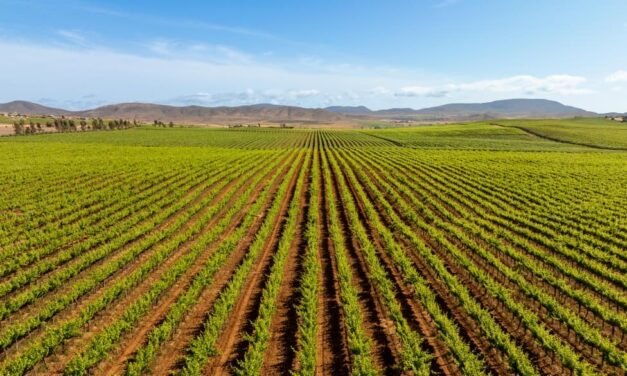 REFUERZA GOBIERNO DE MARINA DEL PILAR CONECTIVIDAD Y VIGILANCIA EN EL VALLE DE GUADALUPE