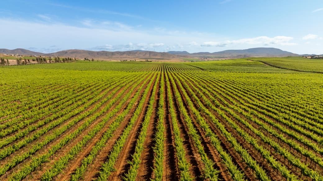 REFUERZA GOBIERNO DE MARINA DEL PILAR CONECTIVIDAD Y VIGILANCIA EN EL VALLE DE GUADALUPE