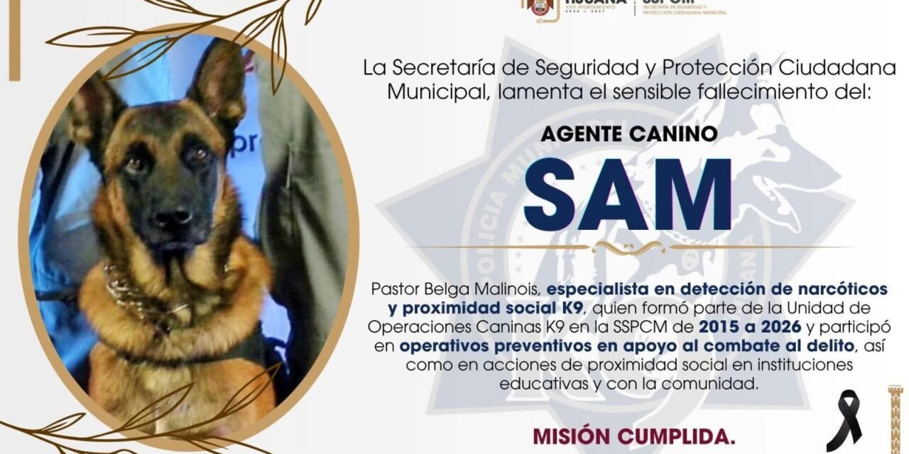 Despiden a Sam, agente canino tijuanense.