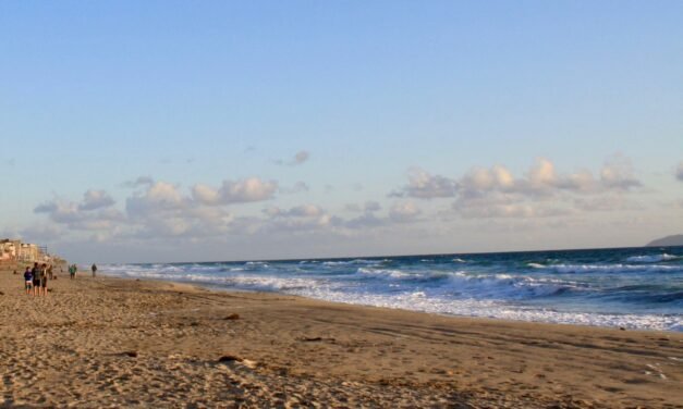 INVITA SECRETARÍA DE MEDIO AMBIENTE A PARTICIPAR EN LA LIMPIEZA Y CONSERVACIÓN DE PLAYAS Y COSTAS
