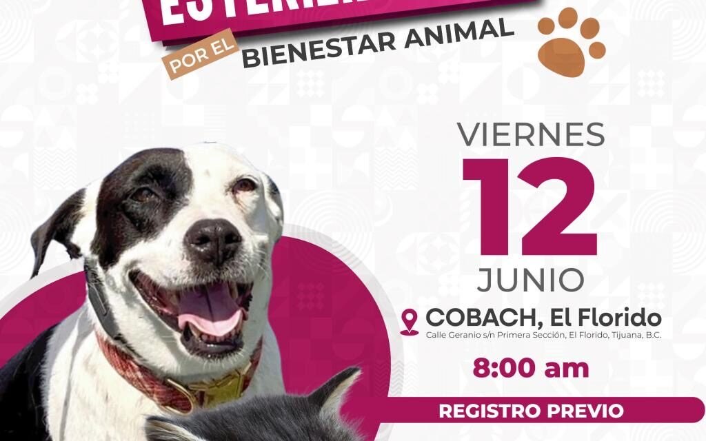 INVITA SECRETARÍA DE MEDIO AMBIENTE APROVECHAR JORNADA DE ESTERILIZACIÓN GRATUITA EN TIJUANA