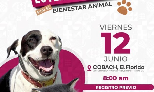 INVITA SECRETARÍA DE MEDIO AMBIENTE APROVECHAR JORNADA DE ESTERILIZACIÓN GRATUITA EN TIJUANA