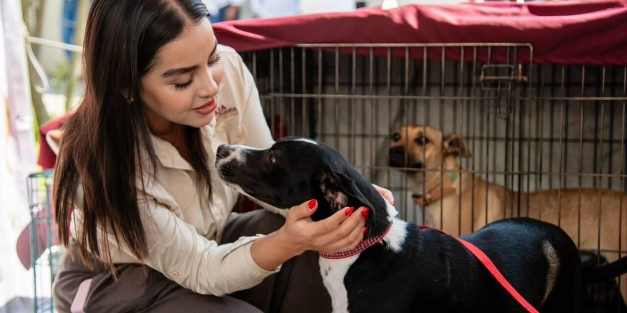 LLAMAN A GARANTIZAR ENTORNO DIGNO Y BIENESTAR PARA PERROS