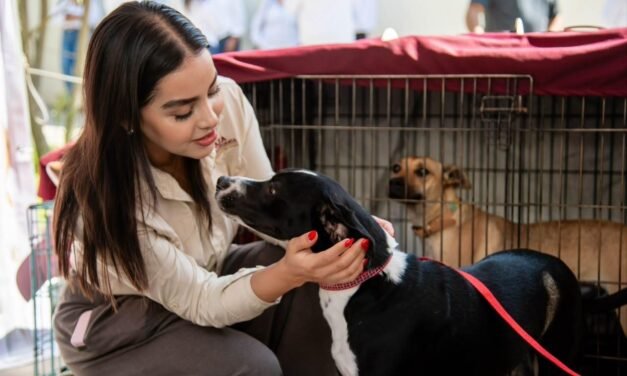 LLAMAN A GARANTIZAR ENTORNO DIGNO Y BIENESTAR PARA PERROS
