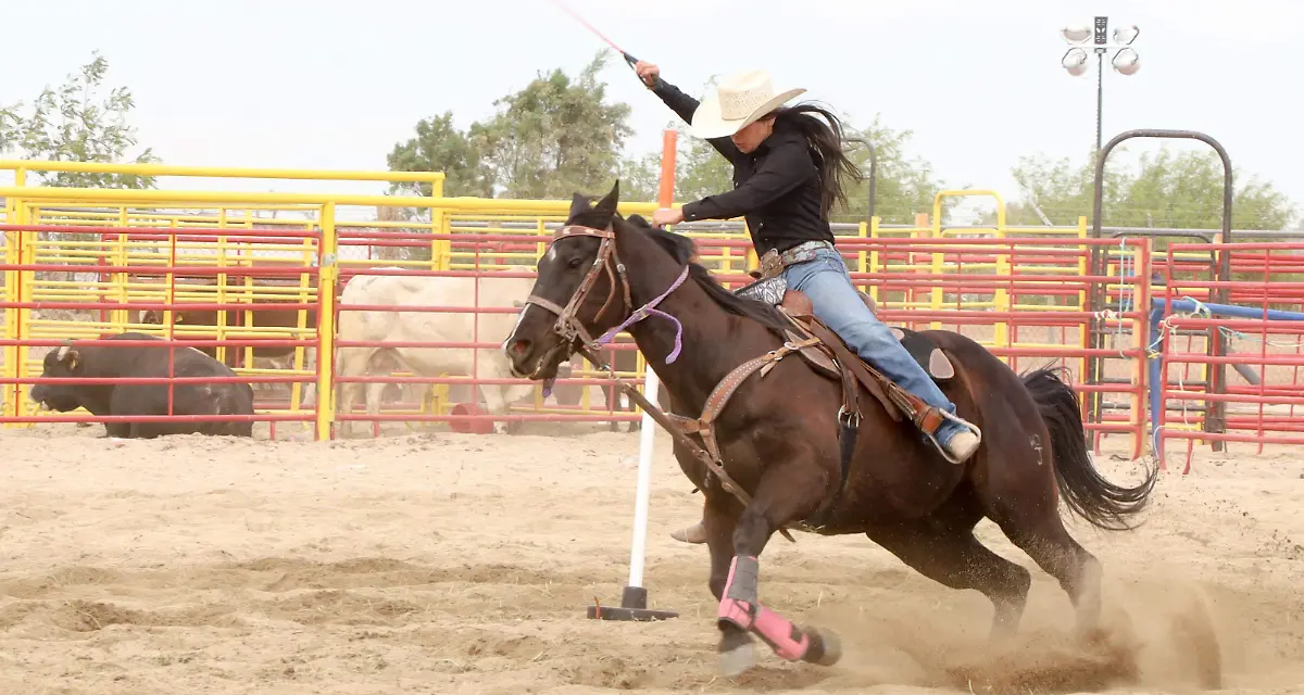Son el rodeo y la vaquería patrimonio cultural de BC