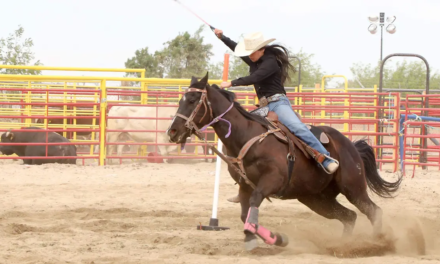Son el rodeo y la vaquería patrimonio cultural de BC