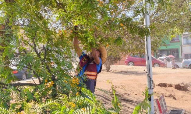Realizan SSPCM y ciudadanos jornada de limpieza en el parque de Villas del Camp