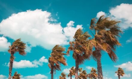 SECRETARÍA DE MEDIO AMBIENTE EMITE RECOMENDACIONES ANTE LA MALA CALIDAD DEL AIRE POR VIENTOS FUERTES