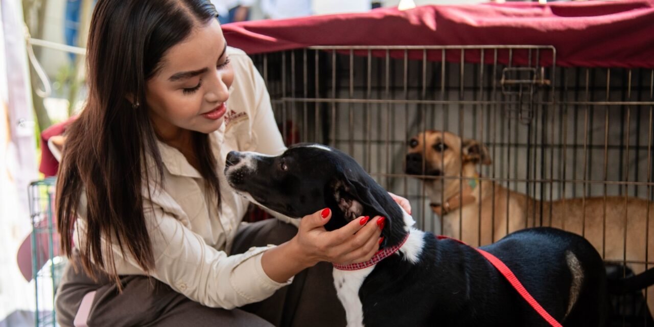 CONVOCA GOBIERNO DE BAJA CALIFORNIA A LA CIUDADANÍA A INTEGRARSE AL COMITÉ DE BIENESTAR ANIMAL*