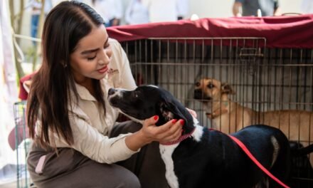 CONVOCA GOBIERNO DE BAJA CALIFORNIA A LA CIUDADANÍA A INTEGRARSE AL COMITÉ DE BIENESTAR ANIMAL*
