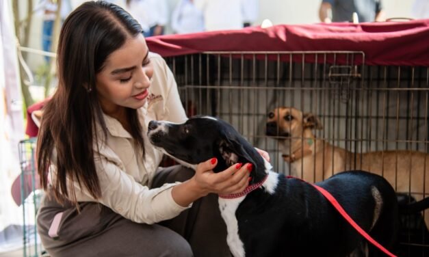 CONVOCA GOBIERNO DE BAJA CALIFORNIA A LA CIUDADANÍA A INTEGRARSE AL COMITÉ DE BIENESTAR ANIMAL*