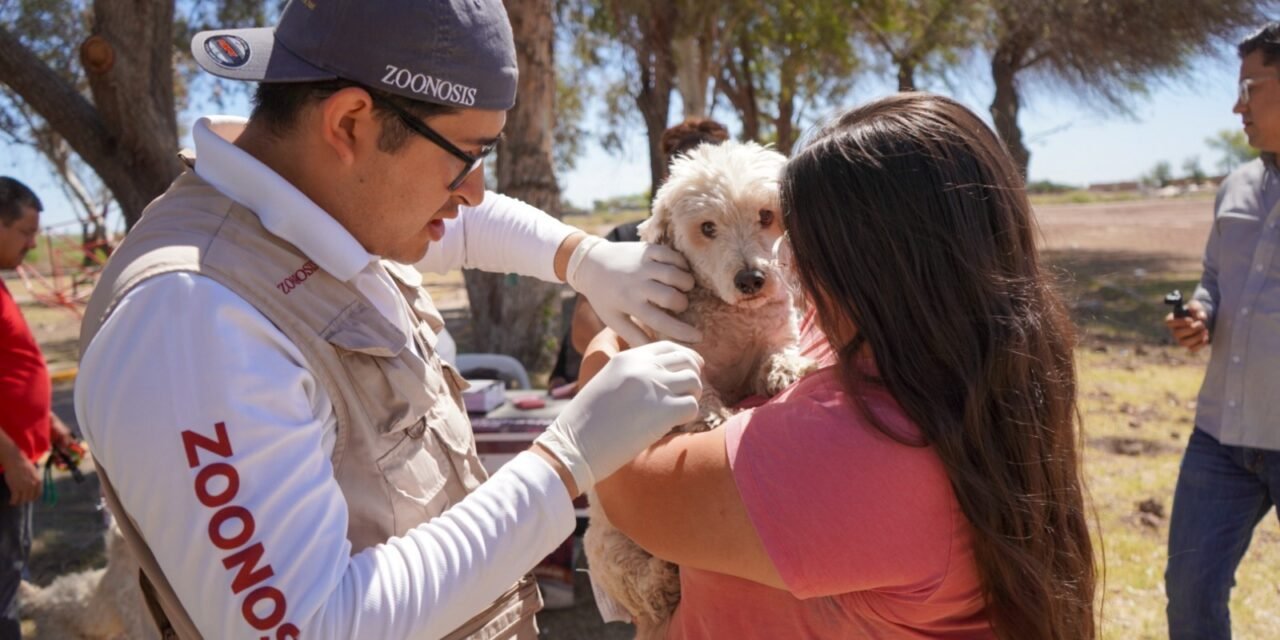 SECRETARÍA DE SALUD LLAMA A FORTALECER EL CUIDADO RESPONSABLE DE MASCOTAS