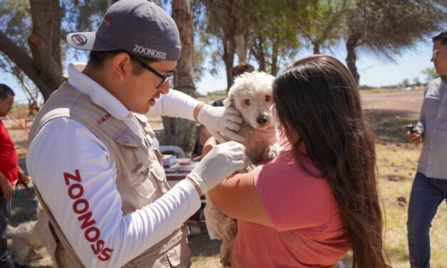 SECRETARÍA DE SALUD LLAMA A FORTALECER EL CUIDADO RESPONSABLE DE MASCOTAS