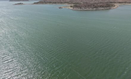 MANTIENEN AUTORIDADES AMBIENTALES OPERATIVOS DE VIGILANCIA Y SANEAMIENTO EN LA PRESA EL CARRIZO