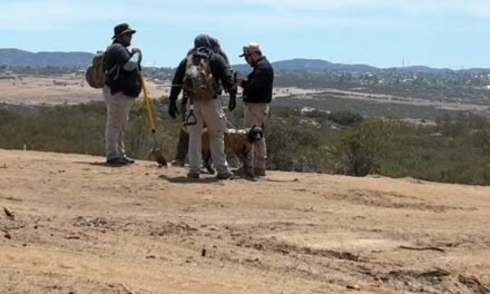 LOGRA COMISIÓN LOCAL DE BÚSQUEDA HALLAZGOS POSITIVOS TRAS DESPLIEGUE OPERATIVO EN TECATE