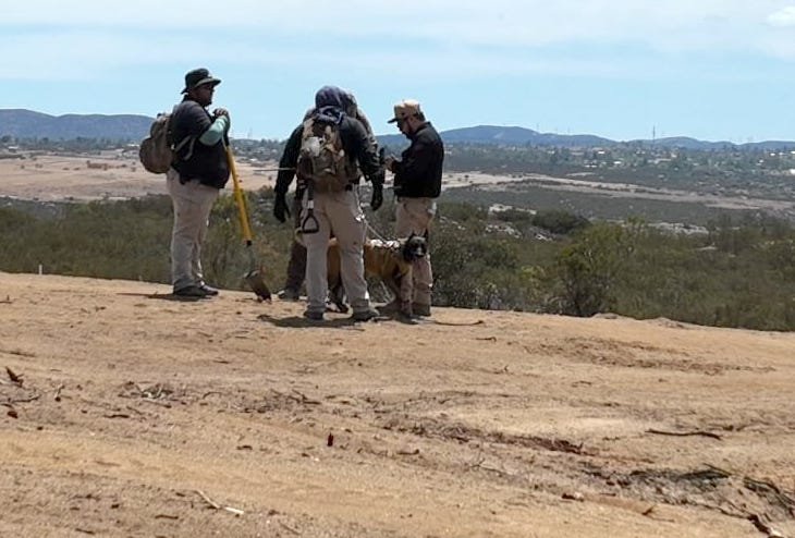 LOGRA COMISIÓN LOCAL DE BÚSQUEDA HALLAZGOS POSITIVOS TRAS DESPLIEGUE OPERATIVO EN TECATE