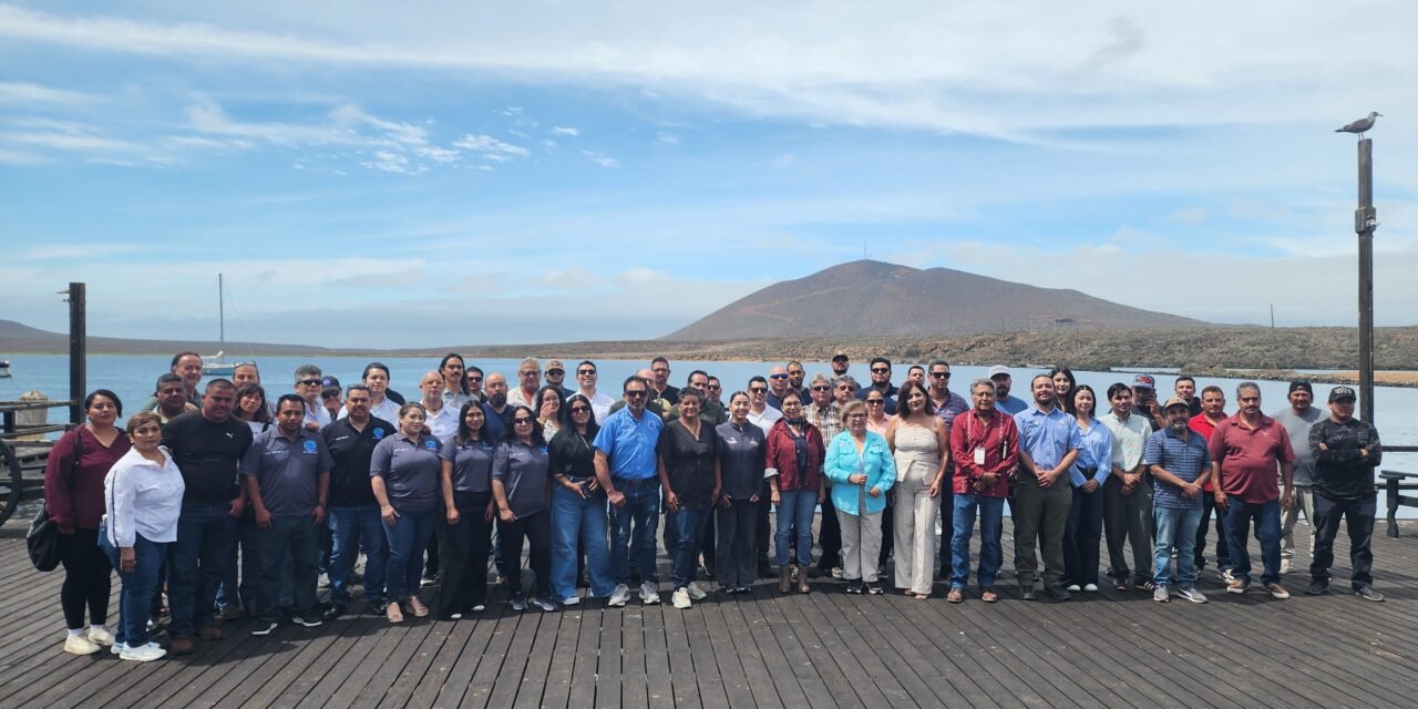 AVANZA LA RESTAURACIÓN DE BOSQUES DE MACROALGAS MARINAS EN BAJA CALIFORNIA