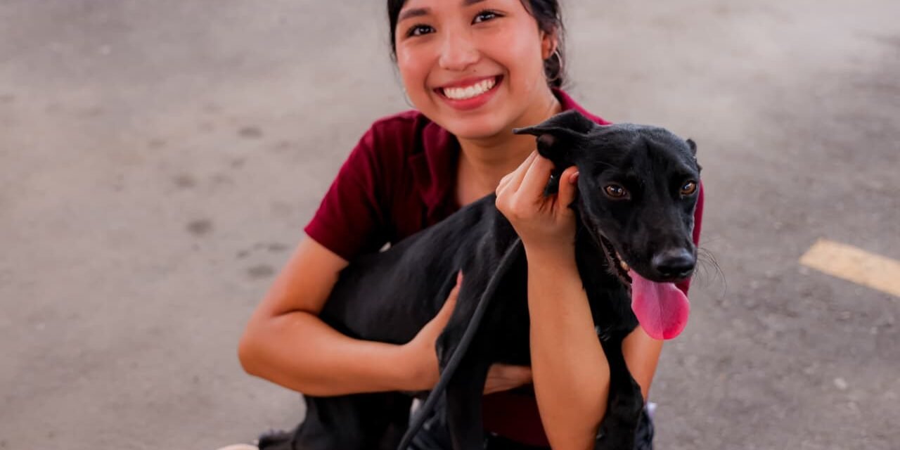 GOBIERNO DE BAJA CALIFORNIA PROMUEVE ADOPCIÓN RESPONSABLE PARA DAR HOGAR A ANIMALES RESCATADOS