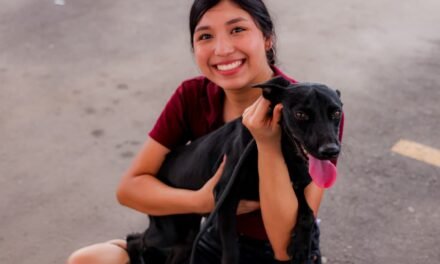 GOBIERNO DE BAJA CALIFORNIA PROMUEVE ADOPCIÓN RESPONSABLE PARA DAR HOGAR A ANIMALES RESCATADOS