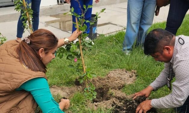 Concluye XXV Ayuntamiento de Tijuana capacitación a Comisarios Sociales Honorarios en ‘Cultivo y Composta’