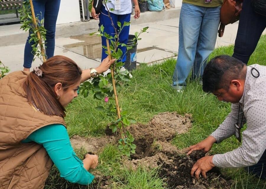 Concluye XXV Ayuntamiento de Tijuana capacitación a Comisarios Sociales Honorarios en ‘Cultivo y Composta’