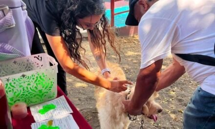 Invita Gobierno de Tijuana a vacunar gratuitamente a perros y gatos contra la rabia en el Centro de Control Animal Municipal