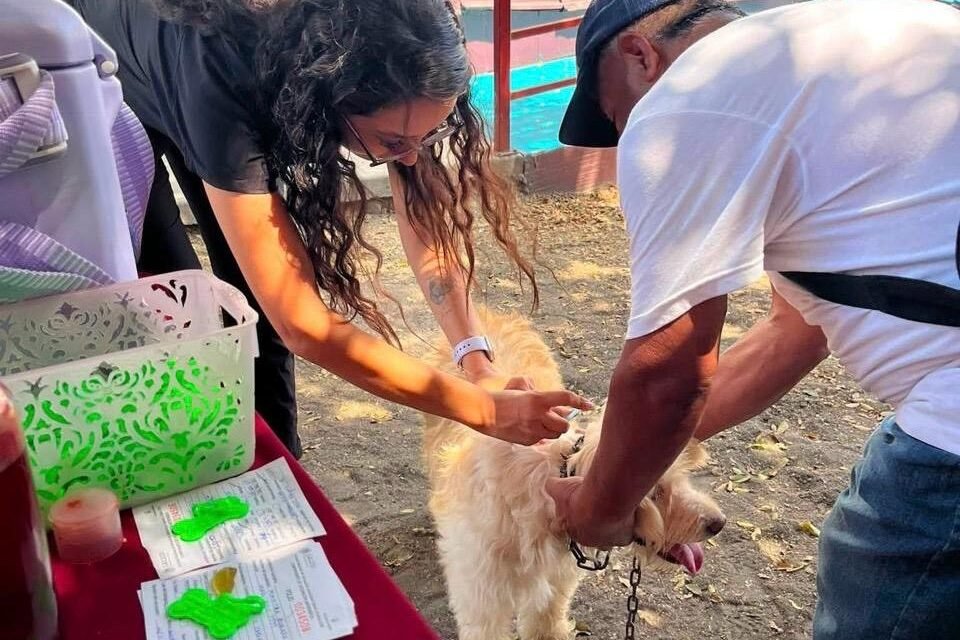 Invita Gobierno de Tijuana a vacunar gratuitamente a perros y gatos contra la rabia en el Centro de Control Animal Municipal